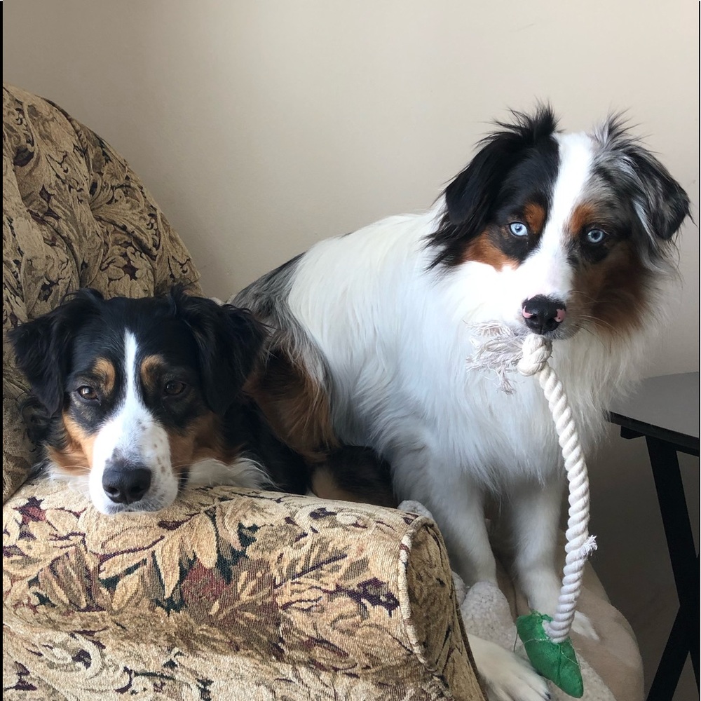 Meet your Posher, Michelle